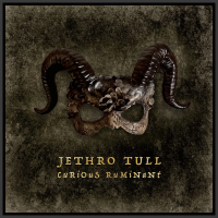 Виниловая пластинка Jethro Tull / Curious Ruminant (1LP) Виниловая пластинка Jethro Tull / Curious Ruminant (1LP)