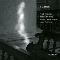 Компакт-диск Fred Thomas, Aisha Orazbayeva, Lucy Railton /  Three Or One (1CD)
