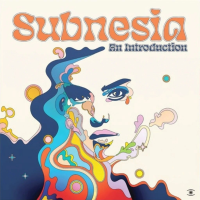 Виниловая пластинка Subnesia / An Introduction (1LP)