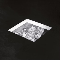 Виниловая пластинка Carnival Kids / The natural order (1LP)