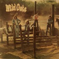 Виниловая пластинка THE WILD OATS / THE WILD OATS (10LP)