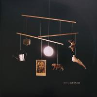 Виниловая пластинка Beirut / A Study of Losses (2LP)