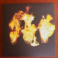 Виниловая пластинка SHOW ME THE BODY / TROUBLE THE WATER (1LP)