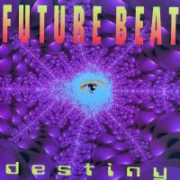 Виниловая пластинка Future Beat / Destiny (limited edition,black vinyl) (lp)