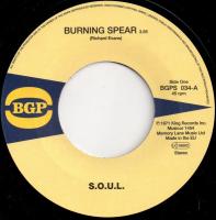 Виниловая пластинка S.O.U.L. / BURNING SPEAR / DO WHATEVER YOU WANT TO DO (1LP)