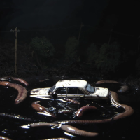 Виниловая пластинка Cold Hart / Pretty in the dark (1LP)