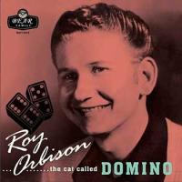Виниловая пластинка Roy Orbison / THE CAT CALLED DOMINO (2LP)