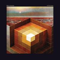 Виниловая пластинка Black Mountain / In The Future (2LP)
