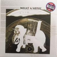 Виниловая пластинка Pepe Bradock / What a mess! mixed techniques (1LP)