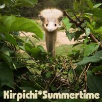 Компакт-диск Кирпичи / Summertime (CD)