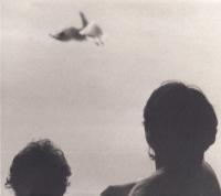 Виниловая пластинка Federico Albanese / Before And Now Seems Infinite (1LP)