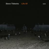 Компакт-диск Steve Tibbetts / Life Of (CD)