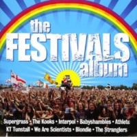 Компакт-диск VARIOUS ARTISTS / THE FESTIVALS ALBUM (1CD)