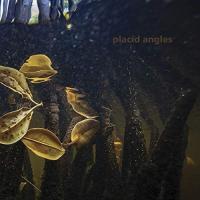 Виниловая пластинка Placid Angles / Touch The Earth (3LP)