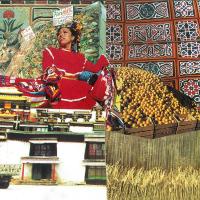 Виниловая пластинка Flamingods / Hyperborea (LP)