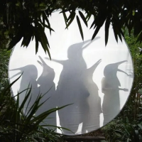 Виниловая пластинка Penguin Cafе / Rain Before Seven (Clear, Limited) (1LP)