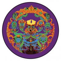Виниловая пластинка Grateful Dead / Anthem Of The Sun (50th Anniversary Edition)(Picture Disc)(LP)