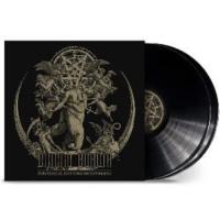 Виниловая пластинка Dimmu Borgir / Puritanical Euphoric Misanthropia (2LP)