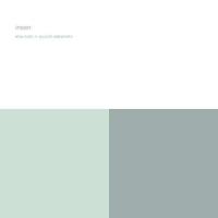 Виниловая пластинка Alva Noto & Ryuichi Sakamoto / Insen (2LP)