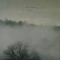 Виниловая пластинка Poppy Ackroyd / Liminal (1LP)