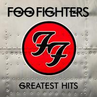 Виниловая пластинка Foo Fighters / Greatest Hits (2LP)