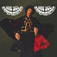 Виниловая пластинка The Jimi Hendrix Experience / Are You Experienced (2LP)