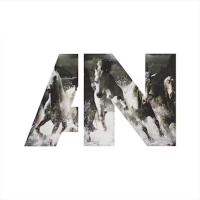 Виниловая пластинка Awolnation / Run (2LP)