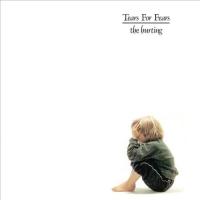 Виниловая пластинка Tears For Fears / The Hurting (1LP)
