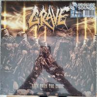 Виниловая пластинка Grave / Back From The Grave (coloured) (1LP) Виниловая пластинка Grave / Back From The Grave (coloured) (1LP)