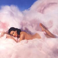 Виниловая пластинка Katy Perry / Teenage Dream (2LP)