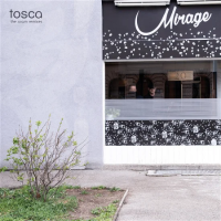 Виниловая пластинка Tosca / Mirage (The Osam Remixes) (Black) (2LP)