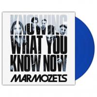 Виниловая пластинка Marmozets / Knowing What You Know Now (Coloured Vinyl)(LP)