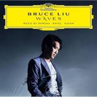 Виниловая пластинка Bruce Liu / Waves (2LP)