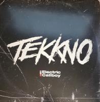 Виниловая пластинка Electric Callboy / Tekkno (2LP)