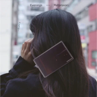 Виниловая пластинка Metoronori / Evenings (1LP)
