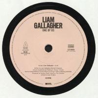 Виниловая пластинка LIAM GALLAGHER / ONE OF US (1LP)