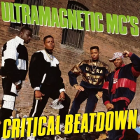 Виниловая пластинка Ultramagnetic Mc'S / Critical Beatdown (2LP)