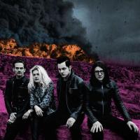 Виниловая пластинка The Dead Weather / Dodge And Burn (1LP)