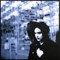 Виниловая пластинка Jack (White Stripes) White / Blunderbuss (1LP)