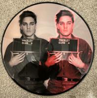 Виниловая пластинка Elvis Presley / Number Ones Usa And Uk (Picture Disc) (1LP)
