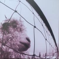 Виниловая пластинка Pearl Jam / Vs. (Limited 30th Anniversary Indie Edition, Clear Vinyl) (2LP) Виниловая пластинка Pearl Jam / Vs. (Limited 30th Anniversary Indie Edition, Clear Vinyl) (2LP)