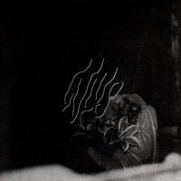 Компакт-диск WLVS / Дотла (CD)