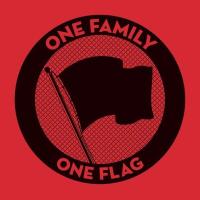 Виниловая пластинка VARIOUS ARTISTS / ONE FAMILY ONE FLAG (3LP)