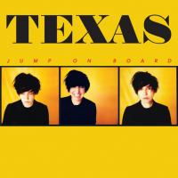 Виниловая пластинка Texas / Jump On Board (LP)