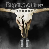 Виниловая пластинка Brooks & Dunn / Reboot II (2LP)