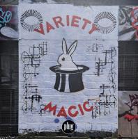 Виниловая пластинка Plug / Variety magic (3LP)