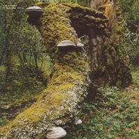 Виниловая пластинка Jan Jelinek / Kosmischer Pitch (1LP)