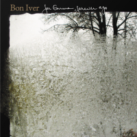 Виниловая пластинка Bon Iver / For Emma, Forever Ago (Black) (1LP)