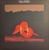 Виниловая пластинка Wally Badarou / Colors Of Silence (1LP)