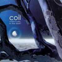 Виниловая пластинка COIL / Musick To Play In The Dark 2 (2LP)